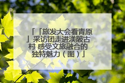 「旅发大会看青原」采访团走进渼陂古村 感受文旅融合的独特魅力（图）