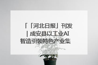 「河北日报」刊发｜成安县以工业AI智造引领特色产业集群迭代升级