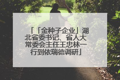 「金种子企业」湖北省委书记、省人大常委会主任王忠林一行到依瑞德调研