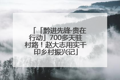 「黔进先锋·贵在行动」700多天驻村路！赵大志用实干印乡村振兴记