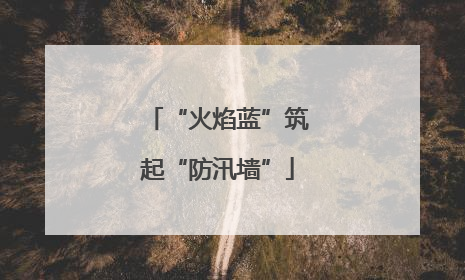 “火焰蓝”筑起“防汛墙”