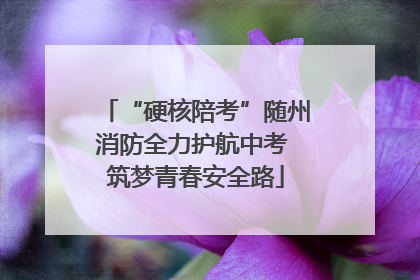 “硬核陪考”随州消防全力护航中考 筑梦青春安全路