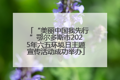 “美丽中国我先行”鄂尔多斯市2025年六五环境日主题宣传活动成功举办