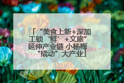 “美食上新+深加工锁‘鲜’+文旅”延伸产业链 小杨梅“撬动”大产业