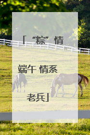 “粽”情端午 情系老兵
