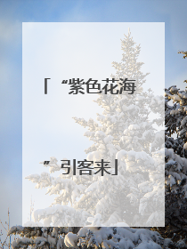 “紫色花海”引客来