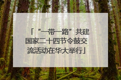 “一带一路”共建国家二十四节令鼓交流活动在华大举行