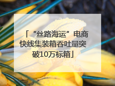 “丝路海运”电商快线集装箱吞吐量突破10万标箱