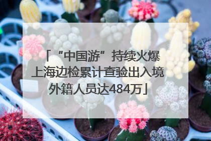 “中国游”持续火爆 上海边检累计查验出入境外籍人员达484万