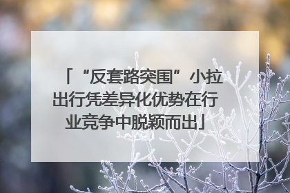 “反套路突围”小拉出行凭差异化优势在行业竞争中脱颖而出