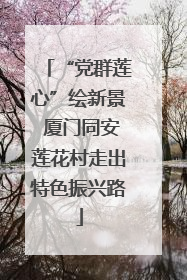 “党群莲心”绘新景 厦门同安莲花村走出特色振兴路