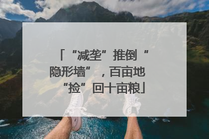 “减垄”推倒“隐形墙”，百亩地“捡”回十亩粮