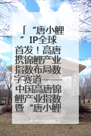 “唐小鲤”IP全球首发！高唐携锦鲤产业指数布局数字赛道——中国高唐锦鲤产业指数暨“唐小鲤”IP全球首发仪式在杭州举行