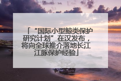 “国际小型鲸类保护研究计划”在汉发布，将向全球推介落地长江江豚保护经验