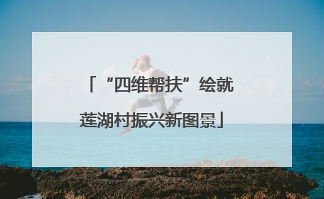 “四维帮扶”绘就莲湖村振兴新图景