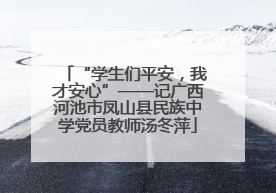 “学生们平安，我才安心”——记广西河池市凤山县民族中学党员教师汤冬萍