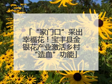 “家门口”采出幸福花！宝丰县金银花产业激活乡村“造血”功能