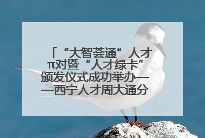 “大智荟通”人才π对暨“人才绿卡”颁发仪式成功举办——西宁人才周大通分会场亮点纷呈