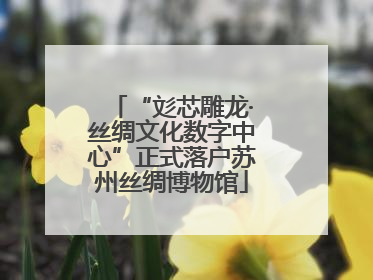 “彣芯雕龙·丝绸文化数字中心”正式落户苏州丝绸博物馆