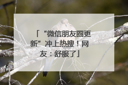“微信朋友圈更新”冲上热搜！网友：舒服了