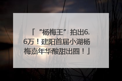 “杨梅王”拍出6.6万！建阳首届小湖杨梅嘉年华酸甜出圈！