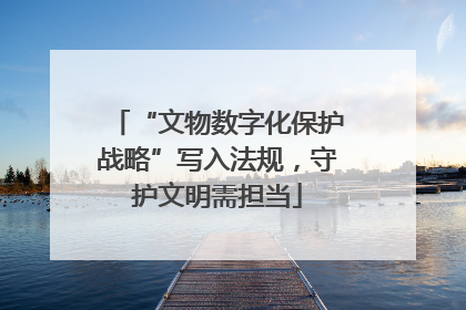 “文物数字化保护战略”写入法规，守护文明需担当