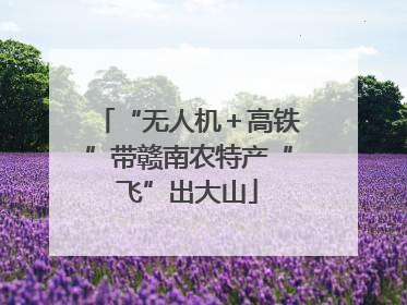 “无人机＋高铁”带赣南农特产“飞”出大山