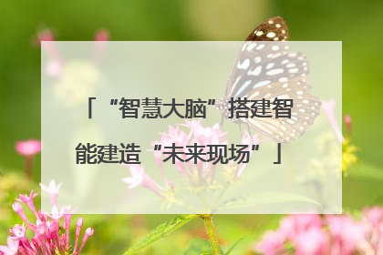 “智慧大脑”搭建智能建造“未来现场”