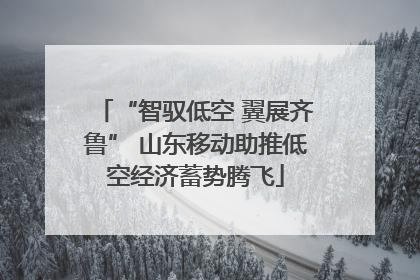 “智驭低空 翼展齐鲁” 山东移动助推低空经济蓄势腾飞