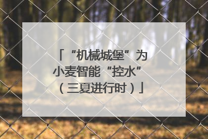 “机械城堡”为小麦智能“控水”（三夏进行时）