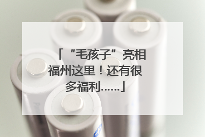 “毛孩子”亮相福州这里！还有很多福利……