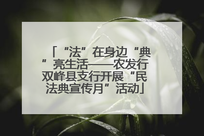 “法”在身边“典”亮生活——农发行双峰县支行开展“民法典宣传月”活动