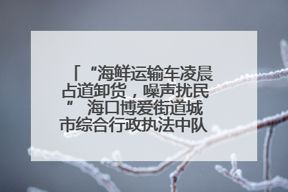 “海鲜运输车凌晨占道卸货，噪声扰民” 海口博爱街道城市综合行政执法中队：将联合交警加强长堤路一带巡逻