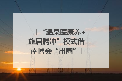 “温泉医康养+旅居腾冲”模式借南博会“出圈”