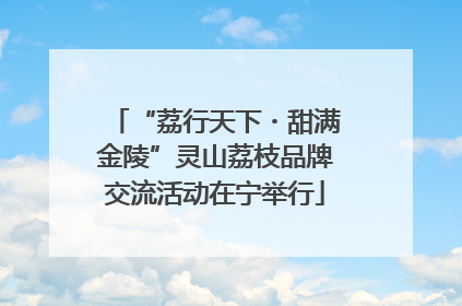 “荔行天下・甜满金陵”灵山荔枝品牌交流活动在宁举行