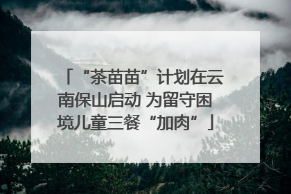 “茶苗苗”计划在云南保山启动 为留守困境儿童三餐“加肉”