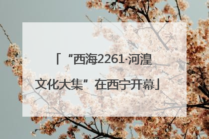 “西海2261·河湟文化大集”在西宁开幕