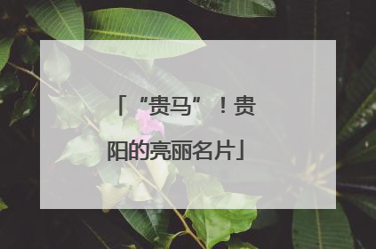 “贵马”！贵阳的亮丽名片