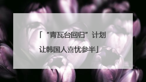 “青瓦台回归”计划让韩国人喜忧参半