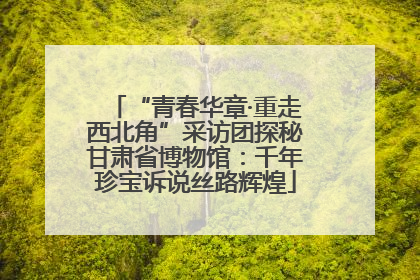 “青春华章·重走西北角”采访团探秘甘肃省博物馆：千年珍宝诉说丝路辉煌