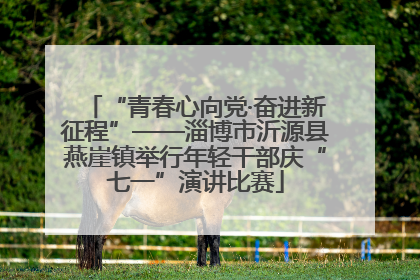 “青春心向党·奋进新征程”——淄博市沂源县燕崖镇举行年轻干部庆“七一”演讲比赛