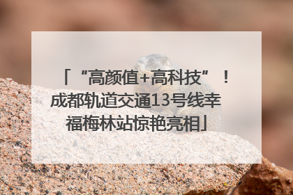 “高颜值+高科技”！成都轨道交通13号线幸福梅林站惊艳亮相