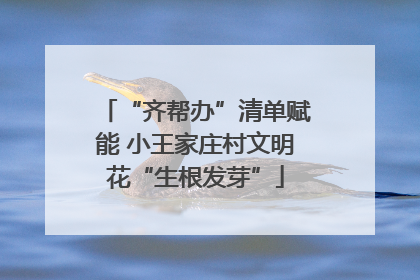 “齐帮办”清单赋能 小王家庄村文明花“生根发芽”