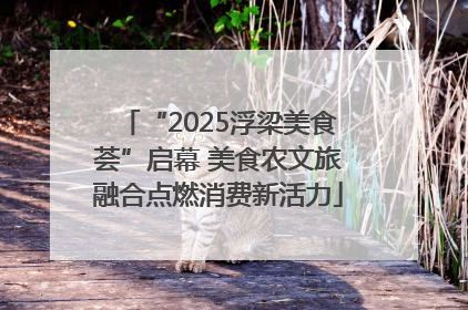 “2025浮梁美食荟”启幕 美食农文旅融合点燃消费新活力