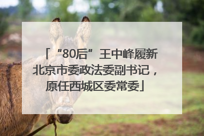 “80后”王中峰履新北京市委政法委副书记，原任西城区委常委