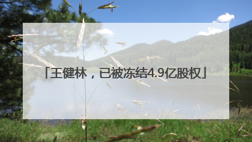 王健林，已被冻结4.9亿股权