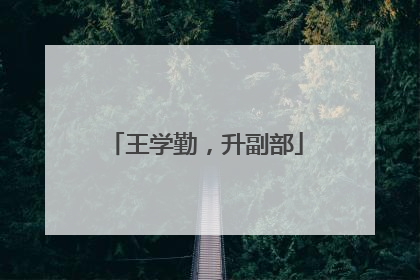 王学勤，升副部