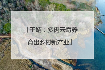 王婧：多肉云寄养 育出乡村新产业
