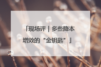 现场评｜多些降本增效的“金钥匙”