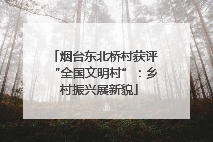 烟台东北桥村获评“全国文明村”：乡村振兴展新貌